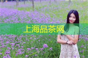 上海新茶工作室：沉淀灵魂，上海新茶工作室为你带来身心放松的独特体验！