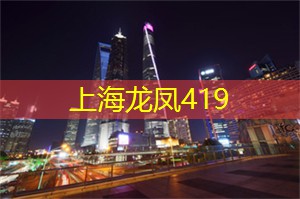 爱上海：从环境保护到文化艺术